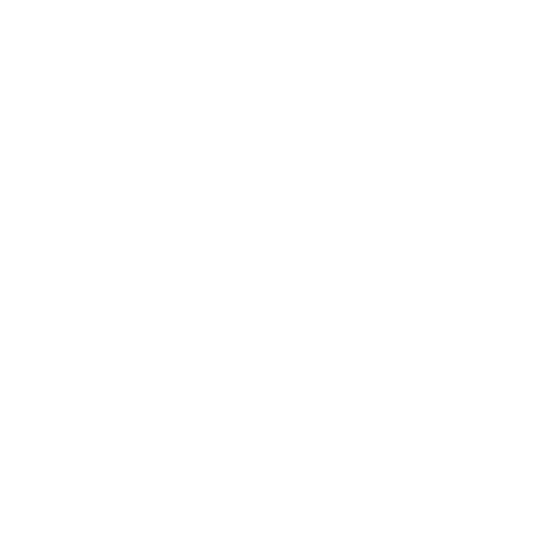 Shree Anjani Packers and Movers Nigdi