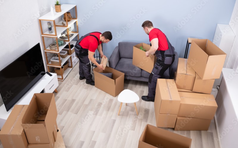 Shree Anjani Packers And Movers Nigdi